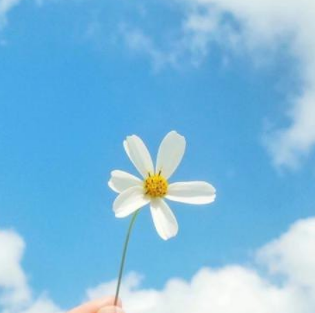 xyf测试库存产品多规格